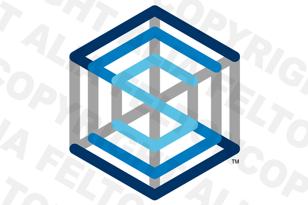 Sentient Storage Logo